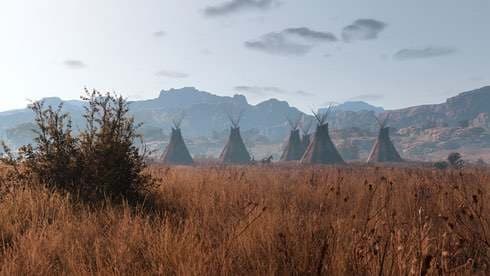 This Land Is My Land screenshot 1