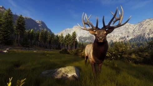 Way of the Hunter screenshot 1