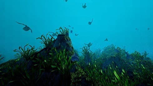 Ecosystem screenshot 6
