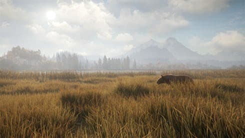 theHunter: Call of the Wild screenshot 2